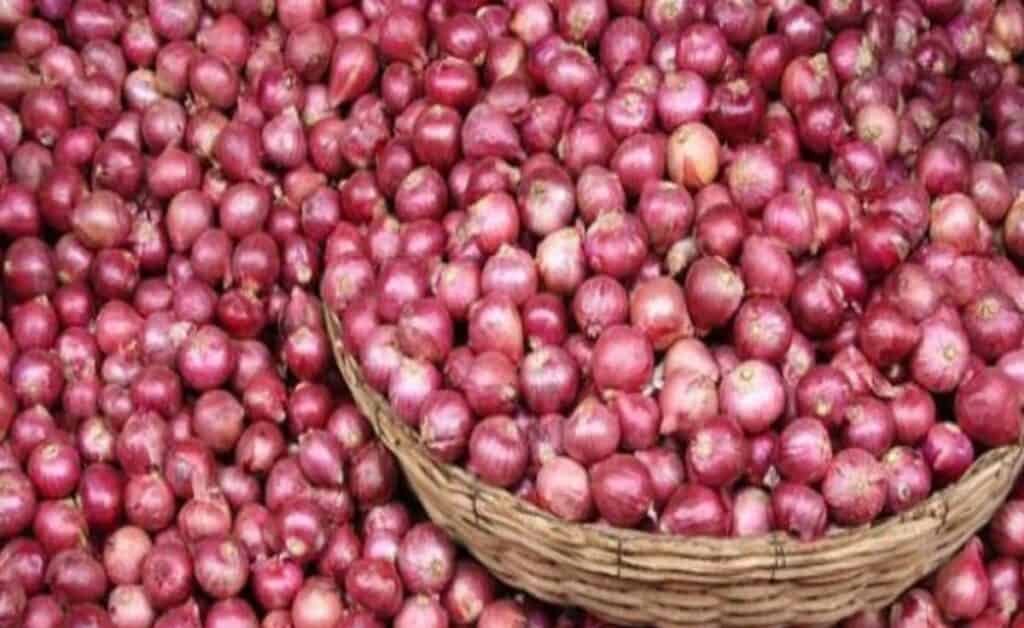 Onoin Price Hike: आसमान पर पहुंचे प्याज के दाम, जानिए अचनाक क्यों महंगा हुआ प्याज