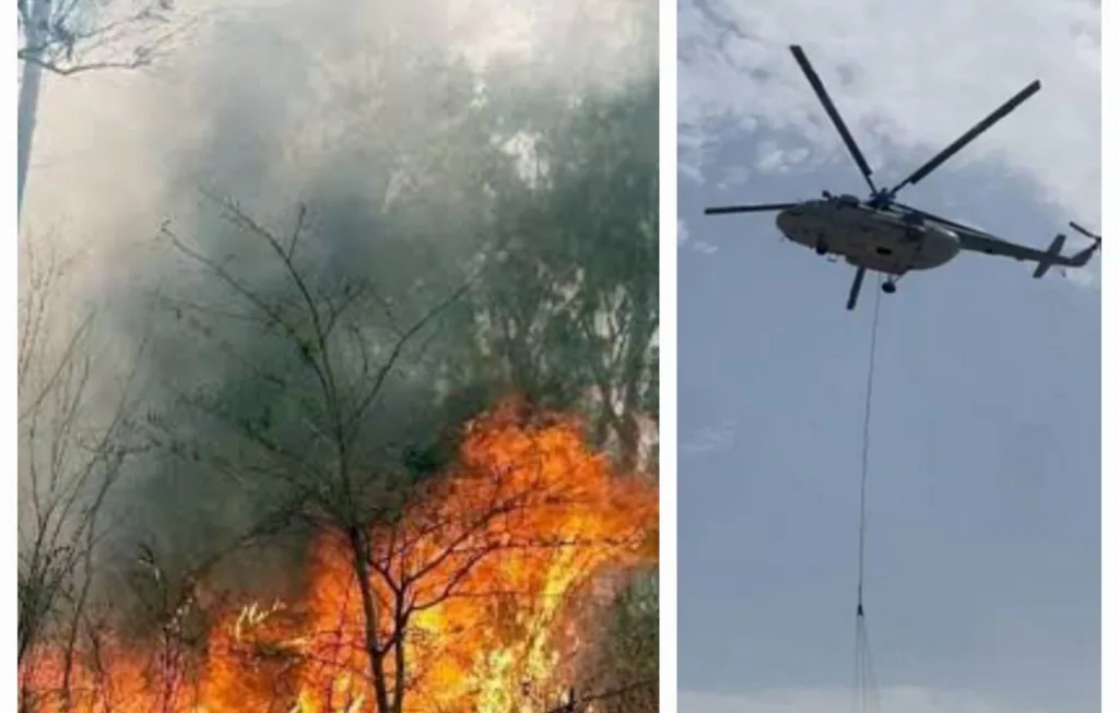 Nanital Fire: नैनीताल के जंगल में लगे आग को बुझाने में जुटे वायुसेना, आग लगाने के आरोप में 3 लोगों को गिरफ्तार