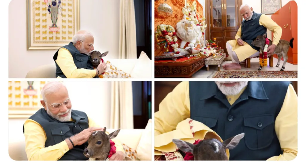 pm modi video